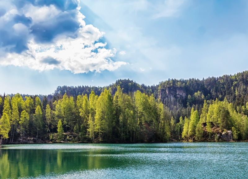 shutterstock_195527528_upr