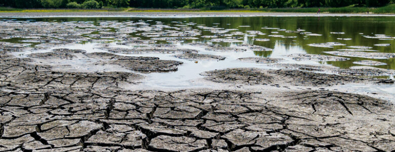 Sucho V Povodi Horni Metuje V Letech 14 19 Vtei